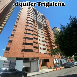alquilertrigaleña12
